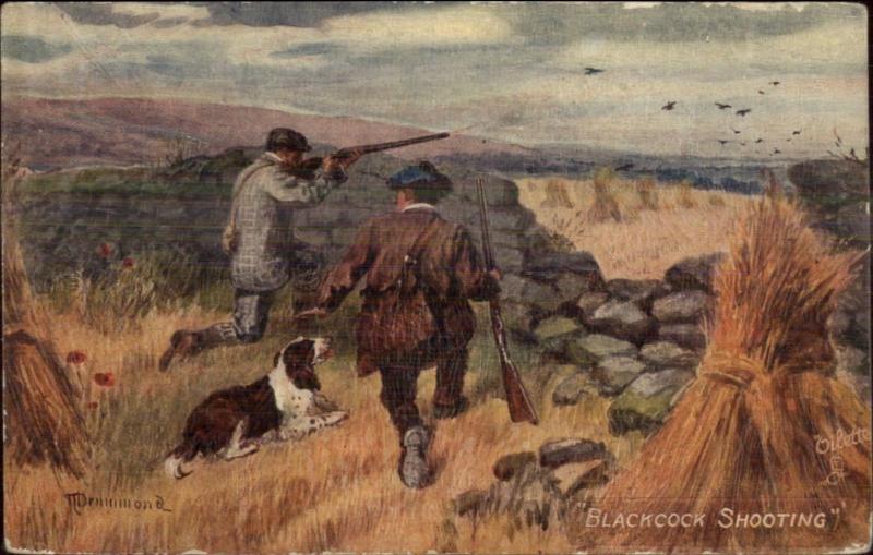 Hunting TUCK Series With Dog And Gun Blackcock Shooting c1910 Postcard