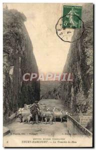 Old Postcard Thury Harcourt The Tranchee of Hom Shepherd Sheep