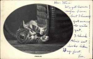 J Bordeaux Cute Kitten Kitty Cat in Basket Frolic c1910 Vintage Postcard
