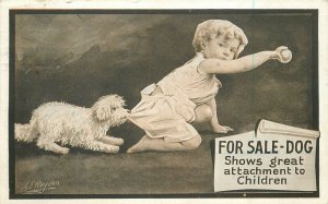 Postcard 1911 For sale dog shows great attachment to children Interior 23-7572