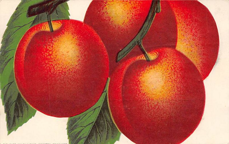 Apple Fruit Assorted Unused picture glued to postcard