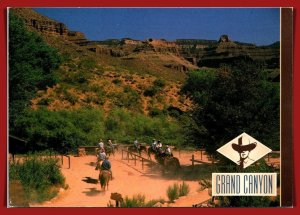 Arizona,  Grand Canyon - The Surefooted Mule  - [AZ-426X]