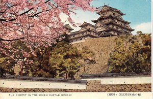 Cherry in the Himeji Castle Japan Unused 
