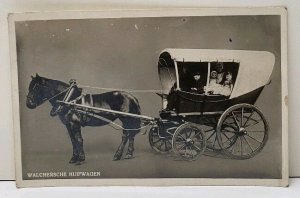 Netherlands Family in Horse Drawn Cart Real Photo Postcard F6