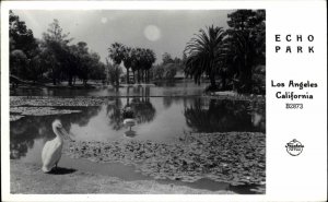 Los Angeles California CA Echo Park Pelican 1940s RPPC Real Photo Postcard