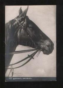 3060597 Head of HORSE by SPERLING vintage PC