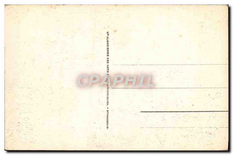 Old Postcard Vittel The Rose Garden