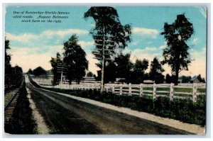 c1910 One Kentucky World Famous August Belmonts Street Road KY Vintage Postcard