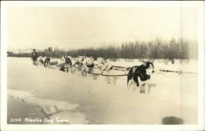 Husky Sled Dogs Malamute etc Alaska Dog Team Real Photo postcard