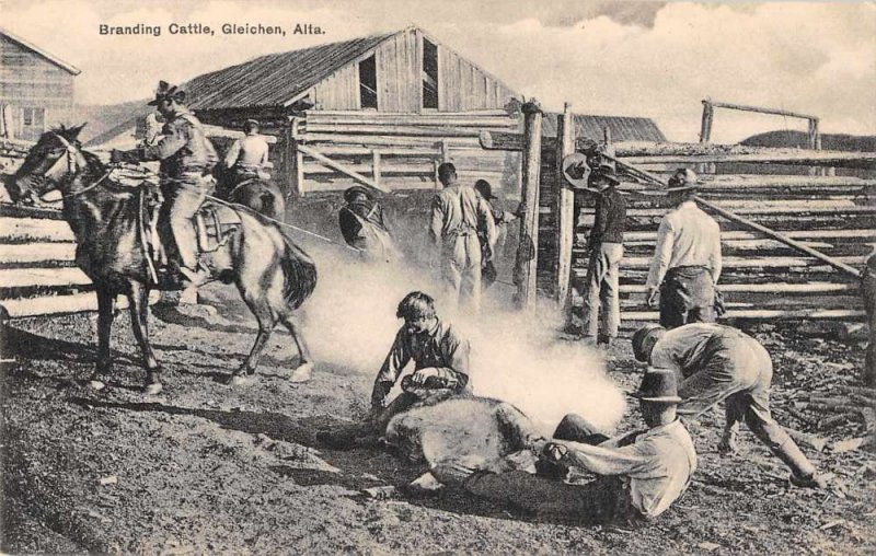 Gleichen Alberta Canada Branding Cattle Ranch Scene Cowboys Postcard JJ649047