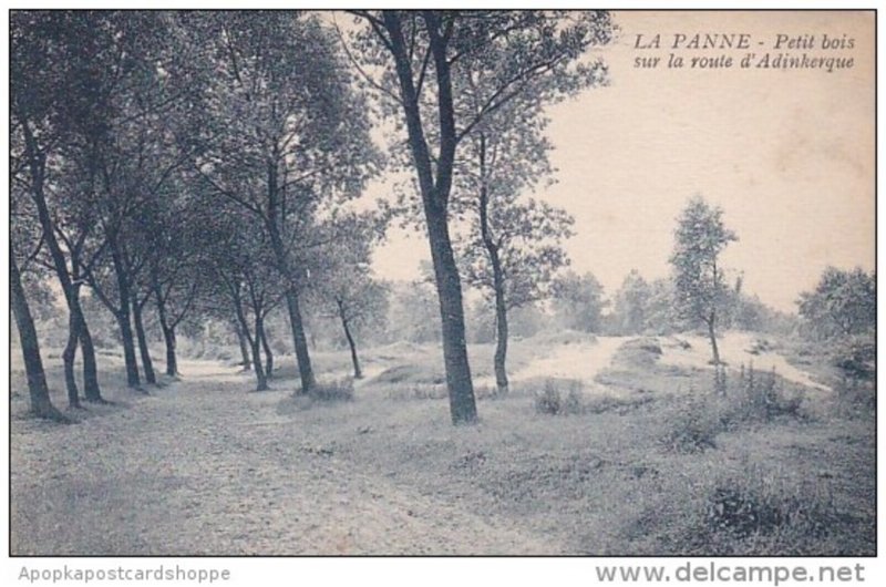 Belgium La Panne Petit bois sur la route d'Adinkerque