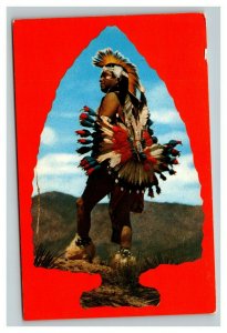 Vintage 1960's Postcard Native American Indian Warrior Arrowhead in Mountains