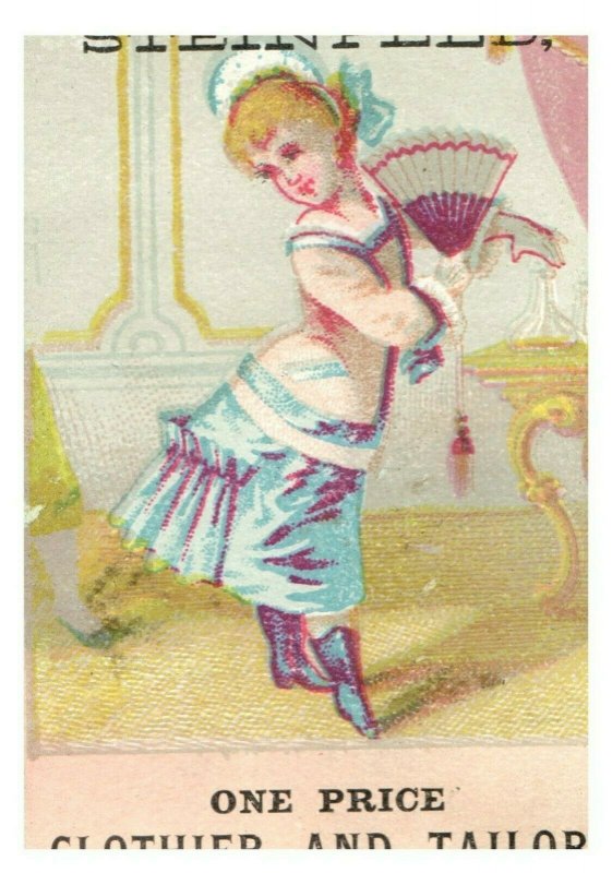 1880's Lot of 2 Lovely Steinfield Clothier & Tailor Ladies Trade Card P95