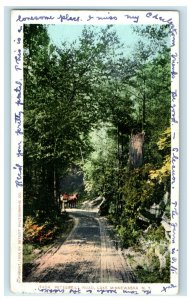 1910 Peterskill Road, Lake Minnewaska New York NY Antique Posted Postcard 