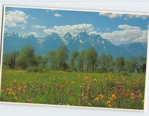 Postcard The Majestic Grand Teton and Teton Range, Grand Teton National Park, WY