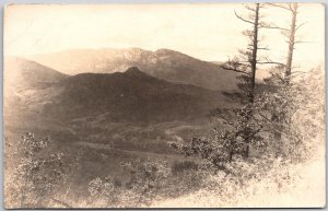 Mountain View Trees Real Photo RPPC Postcard