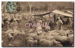 Old Postcard Scenes Algeriennes Marche aux Moutons