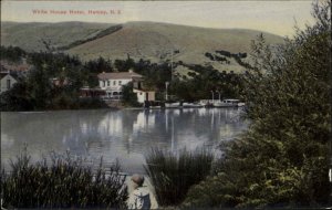 Henley New Zealand NZ White House Hotel Vintage Postcard