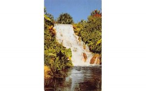 Zambezi Falls, at Africa-U. S. A. Boca Raton, Florida