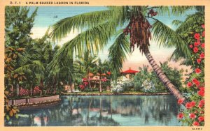 Vintage Postcard 1943 A Palm Tree Shaded Lagoon Trees Reflection in Florida FL