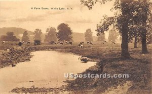 A Farm Scene - White Lake, New York NY Postcard