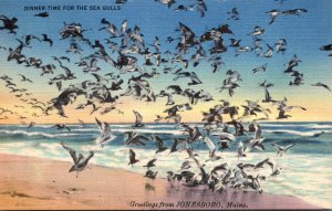 Maine Greetings From Jonesboro Dinner Time For The Sea Gulls 1942