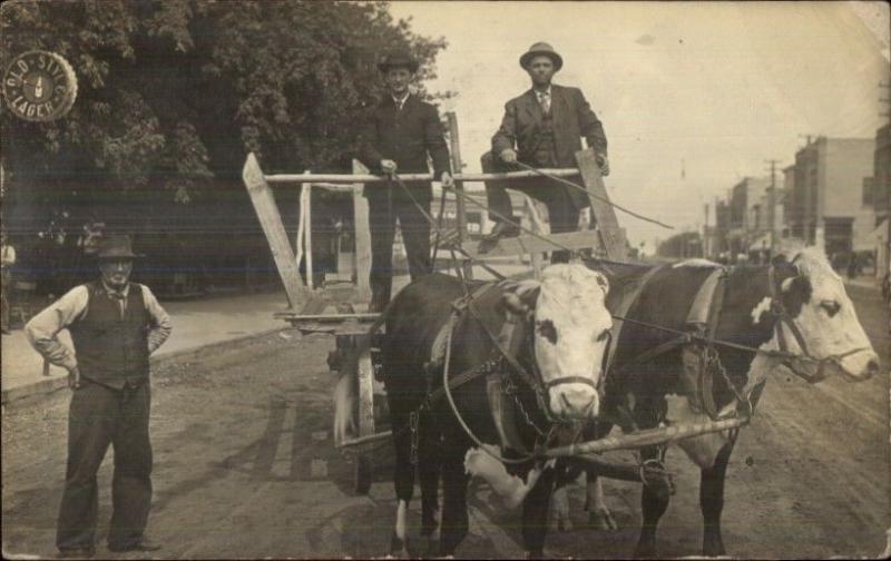 Thief River Falls MN Men Oxen Wagon OLD STYLE LAGER Beer Sign c1910 RPPC spg