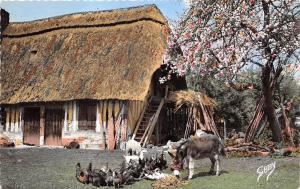 BR38110 La Normandie Douce fraternite chicken ane donkey france