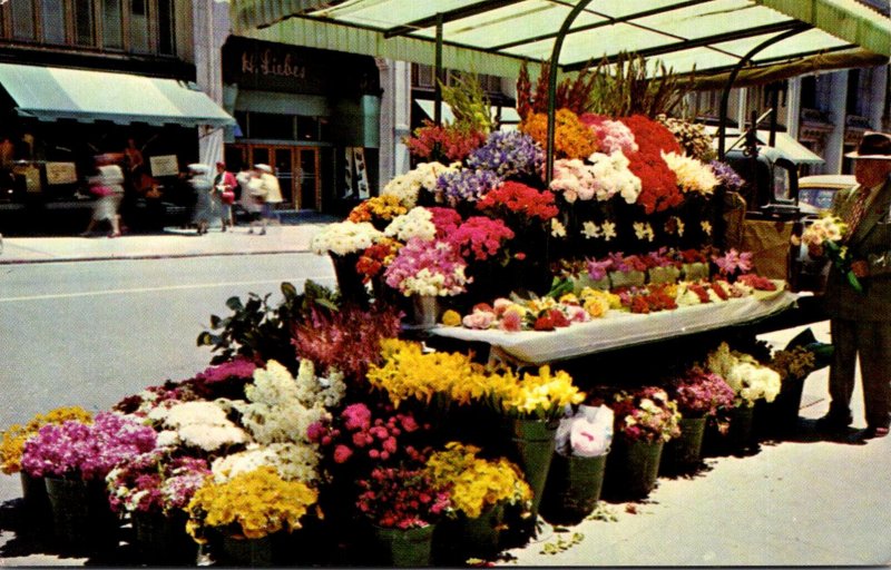 California San Francisco Sidealk Flower Stand