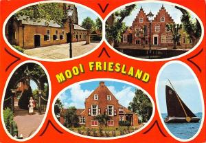 BT6187 Mool Friesland     Netherlands