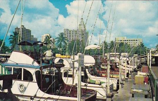 Florida Miami Miami World Famous Sports Fishing Headquarters Pier 5