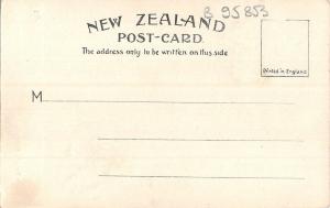 B95853 bush track nevada usa