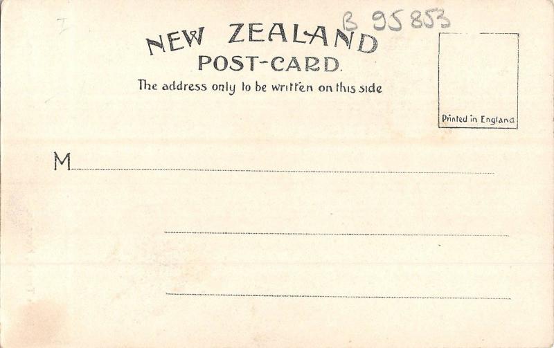 B95853 bush track nevada usa