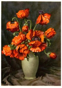 Flowers  artist signed D H Berger