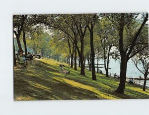 Postcard Lake View Park Lorain Ohio USA