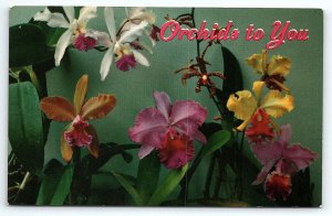 1950s ORCHIDS TO YOU HAWAII NANI LII NATURAL COLOR PHOTOCHROME POSTCARD P2491