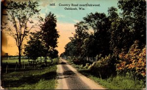 Country Road near Oakwood Oshkosh WI Postcard PC90