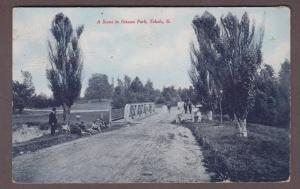 A Scene In Ottawa Park Toledo Ohio 1908 Postcard Men with Bicycles by Bridge