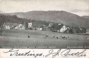 Kearsarge New Hampshire Russell Cottages and Lookout Point Postcard AA34154