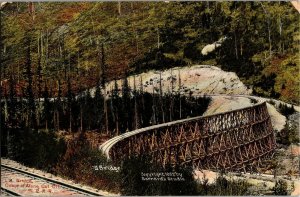 S Bridge, Coeur d'Alene Cut Off Railroad Bridge Trestle ID c1909 Postcard B78