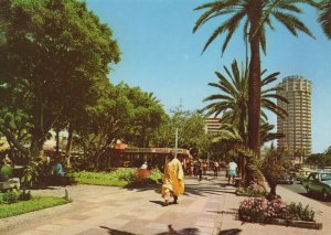 Spain Postcard - Gran Canaria - Cosmopolite Parcc Sainte Catalina   RR9385