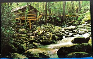 Tub Mill Junglebrook Great Smoky National Park Vintage Postcard
