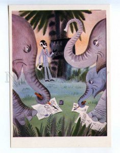 238263 RUSSIA Belomlinsky fairy tale elephants inkwells old postcard