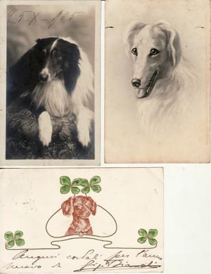 Animals  DOGS  including 1 Dachshund   3 different postca...