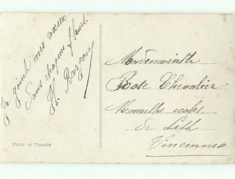 tinted rppc c1910 BEAUTIFUL FLOWERS AC9125