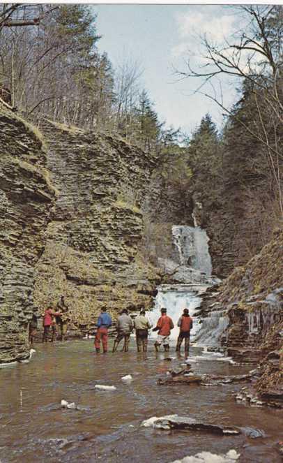 Rainbow Trout Fishing - Deckertown Falls, Montour NY, New York