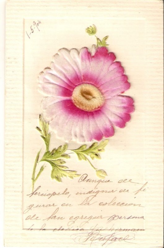 Flowers. Beautiful pink rose Old vintage German embossed postcard