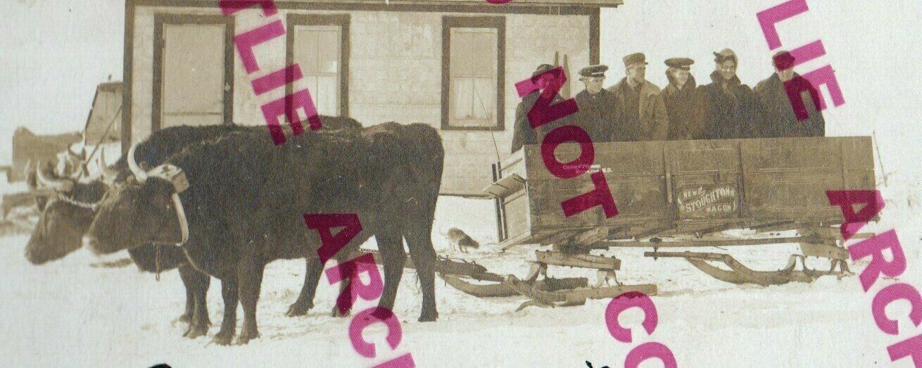 Napoleon NORTH DAKOTA RPPC 1909 SLEIGHING PARTY Cow Cart Sledge nr