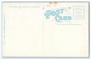 c1920's World War Memorial Boulder Nelson Park Ossining New York NY Postcard 
