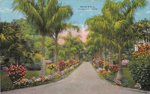 Florida Typical Palm Walk 1946